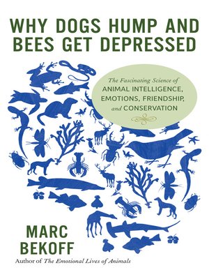 cover image of Why Dogs Hump and Bees Get Depressed